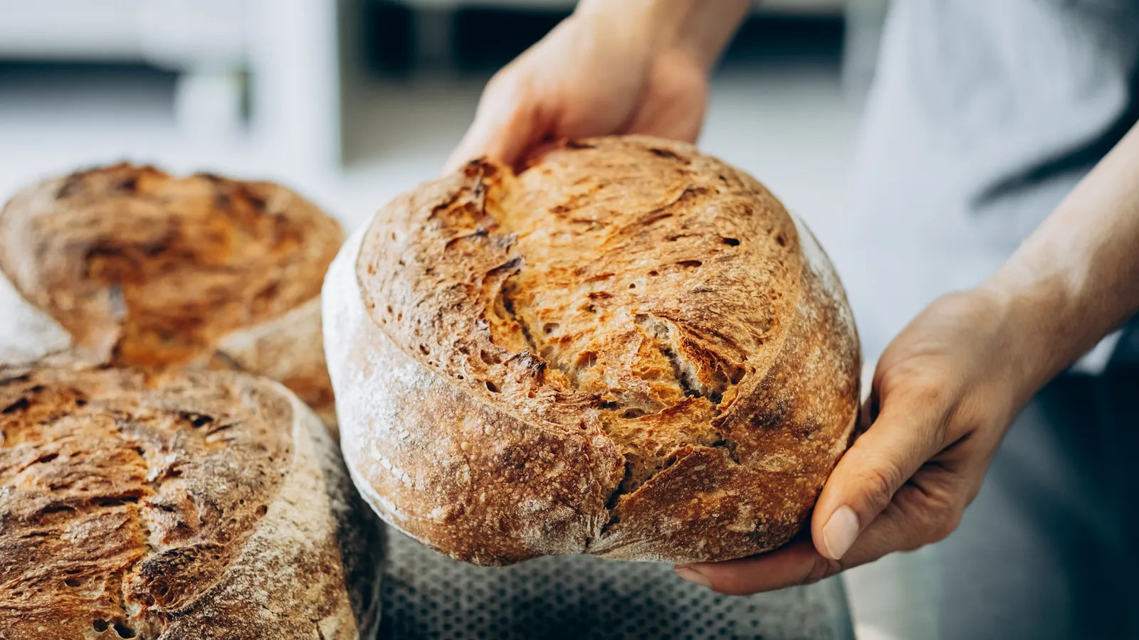 Pain artisanal croustillant tenu dans les mains d’un boulanger, symbole central des expressions italiennes autour du pain