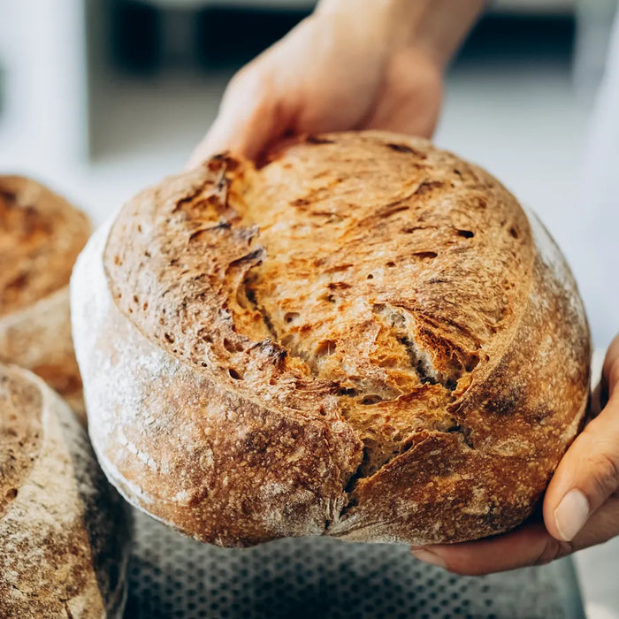 Pain artisanal croustillant tenu dans les mains d’un boulanger, symbole central des expressions italiennes autour du pain
